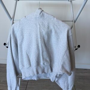 Aritzia Cropped Hoodie